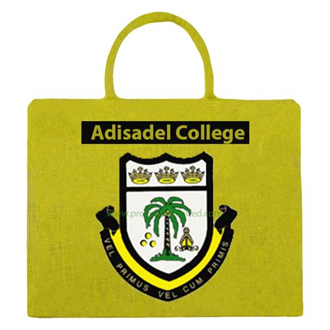 Male Adisadel College Provistore Limited