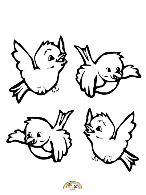 Cute Baby Birds Coloring Pages Coloring Pages