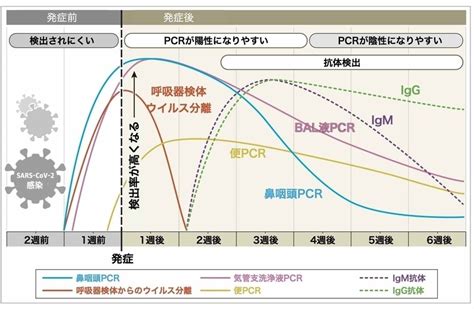 新型コロナウイルス（sars Cov 2）抗体検査 ｜ 楓クリニック ららぽーと立川立飛｜立川 内科・外科・アレルギー科・健康診断・ビタミン注射