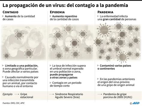 Coronavirus Cuál Es La Diferencia Entre Una Pandemia Una Epidemia Y