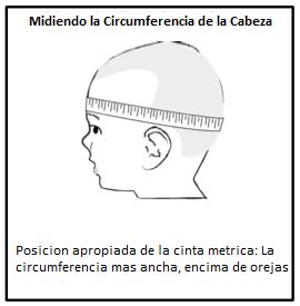 Examen Fisico Neonatal Cabeza Y Cuello Cerebromedico