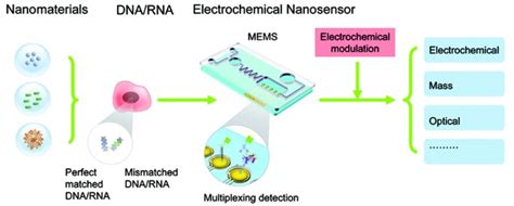 Dna Diagnostics Nanotechnology Enhanced Electrochemical Detection Of Nucleic Acids Pediatric