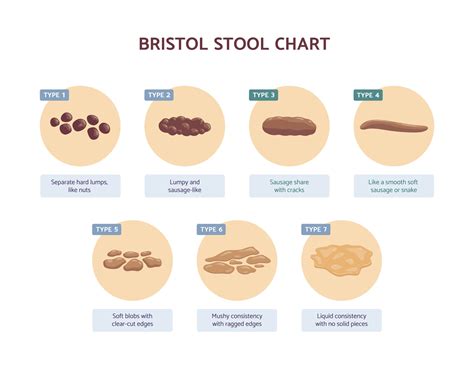 Know Your Poop Color Chart Images And Photos Finder This Is What The