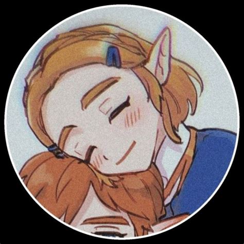 Matching Pfp Matching Icons Zelda Twilight Princess Profile Picture