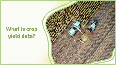 What Is Crop Yield Data