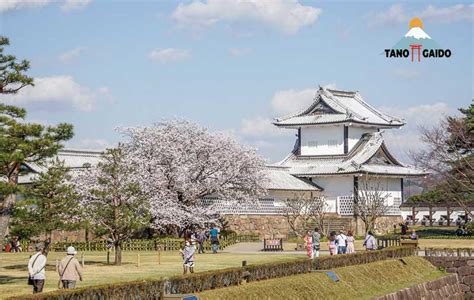 Kanazawa Castle Kasti Kanazawa Tanogaido