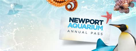 Newport Aquarium | Newport Aquarium | Newport aquarium, Aquarium, Newport