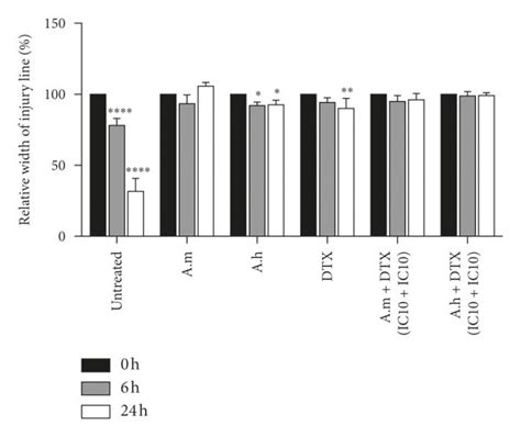 Effect Of DTX And A M And A H Extracts On 4T1 Cell Migration A