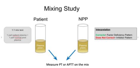 Circulating Cells And Signaling Bleeding And Clotting Disorder Of The