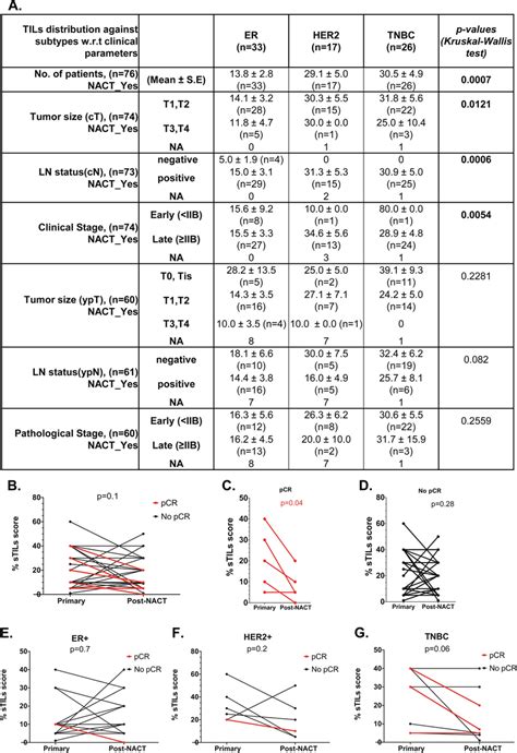 STILs Scores Compared Between Pre NACT And Post NACT Tumor Tissue