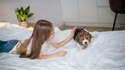 8 Essential Hotel Amenities Every Traveler Craves - DZEE Textiles