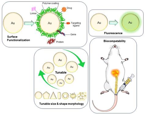 Ijms Free Full Text Gold Nanoparticles In Diagnostics And