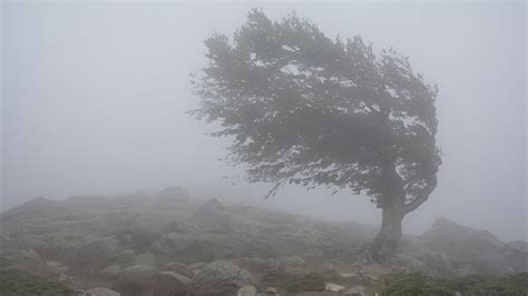 Avertizare Anm Cod Galben De V Nt Puternic I Ploi N Zonele Montane