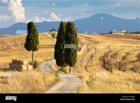 Gladiator Fields Hi Res Stock Photography And Images Alamy