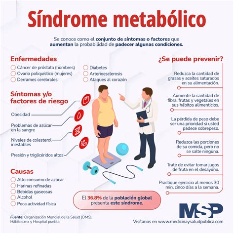 Sindrome Metabolico Sindrome Metabolico Metabolismo Cuidados De Porn