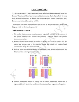 CHROMOSOMES AND SPECIAL TYPES OF CHROMOSOMES | PDF