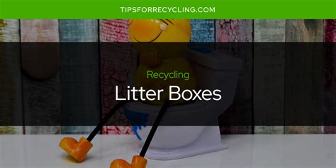 Are Litter Boxes Recyclable? || Tips For Recycling - Recycle Everything