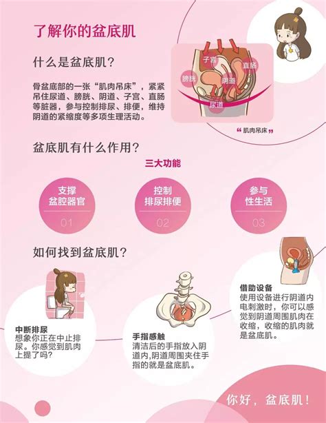 11张科普图，详解产后女性盆底问题！康复