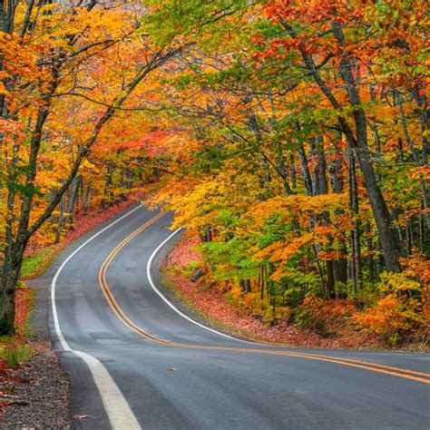 Exploring Michigan’s Beautiful Tunnel Of Trees In The Fall: 11 Places ...