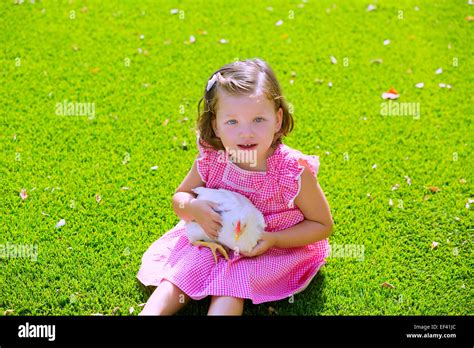 Toddler Kid Girl With White Leghorn Hen Sitting In Green Turf Grass