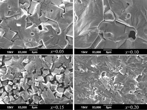 Figure A4. Fragments of the microstructure of SS ceramics of the ...