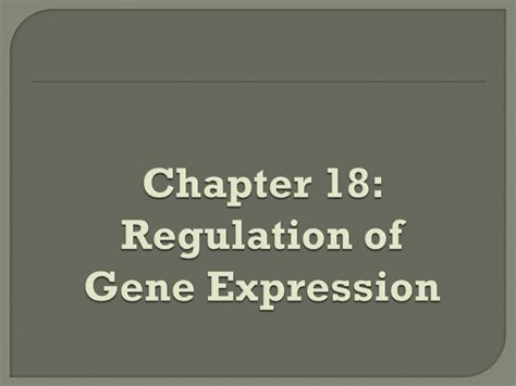 Chapter 18 Regulation Of Gene Expression