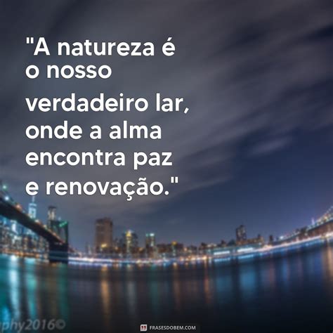 Reconectar Com A Natureza Frases - Frases Inspiradoras para Conectar-se com a Natureza e Revitalizar sua ...