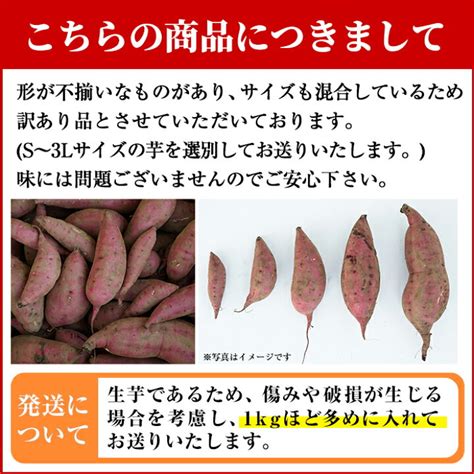 ふるさと納税 香取市 食べ比べさつま芋 シルクスイート 紅はるか各5kg 計10kg 安い