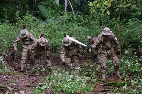 En Bolivia Se Plantea La Destrucción De 10 000 Hectáreas De Cultivos De