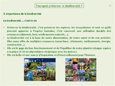 Pourquoi Prserver La Biodiversit La Biodiversit Cest La