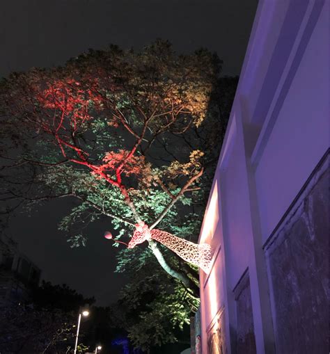 心情 城市躲貓貓 看板 lesbian 批踢踢實業坊