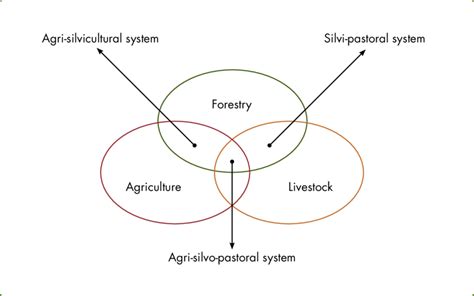 Classification of agroforestry systems based on composition | Download Scientific Diagram