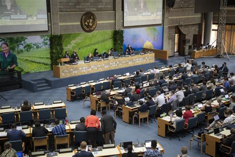 La Asamblea de la ONU para el Medio Ambiente se reúne para asegurar un