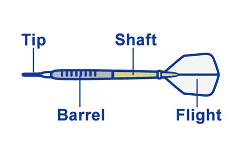 Dart Anatomy Part Of Dart And Their Functions