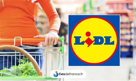 Lidl Lance Son Panier Anti Inflation Avec Des Produits Bio Cesdefrance