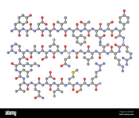 Somatoliberin Hormone Molecule Computer Model Showing The Structure Of