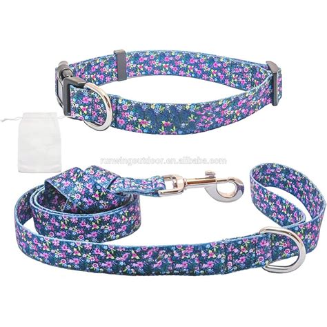 Cute Female Dog Collar With Leash Set Vivid Colorful Pretty And Unique