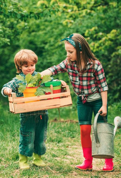 Hermanos Jugando Juntos En El Jardín Adorables Plantas De Riego Para