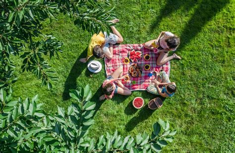 Qué llevar a un picnic Ideas para un día en el campo