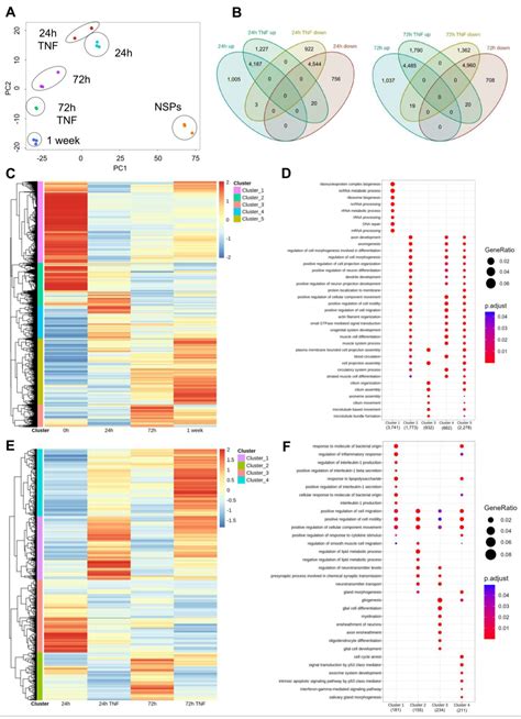 Cells Free Full Text Transcriptional And Chromatin Accessibility