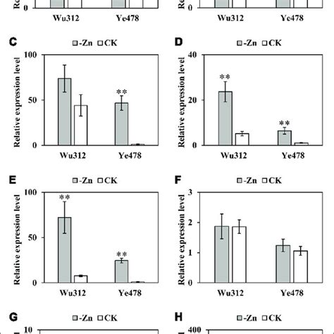 Phenotypic Variation In The Recombinant Inbred Line RIL Population