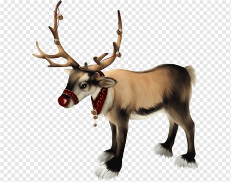 Rudolph Santa Claus Reindeer Christmas Santa Claus Png PNGWing