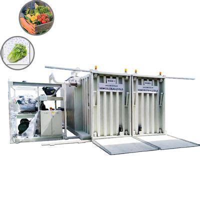 Oyster Mushroom Leafy Vegetables Vacuum Cooler High Efficiency Fast