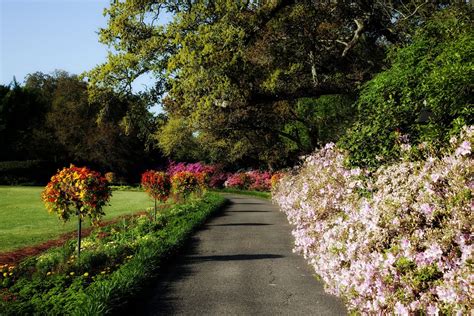 Bellingrath Gardens Alabama Free Photo On Pixabay