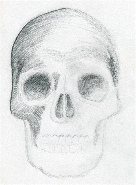 Skeleton Face Drawing Easy At Paintingvalley Explore Collection