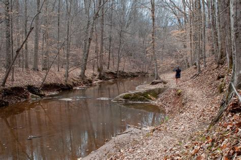 Fall Creek Falls And Mayo River Trail At Mayo River State Park