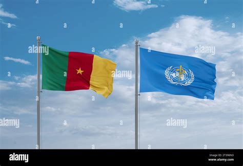 World Health Organization And Cameroon Flags Waving Together In The