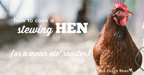 How To Cook A Stewing Hen The Paleo Mama