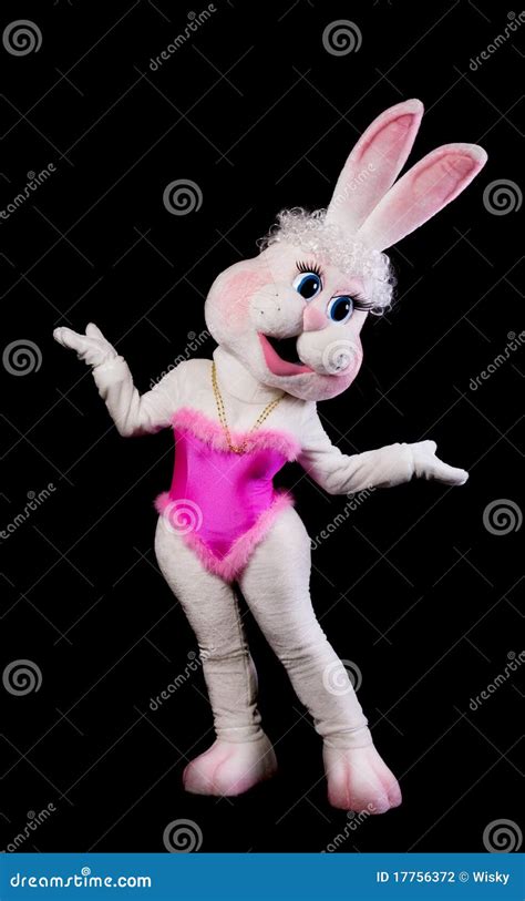 Bunny Girl Mascot Costume On Black Stock Photo Image Of Dance Humor