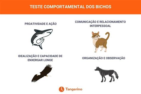 Teste Perfil Comportamental Guia Tubar O Lobo Gato Braincp